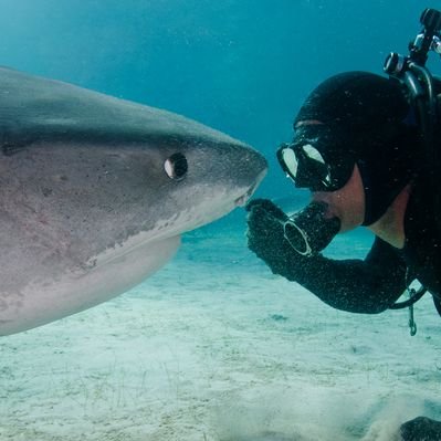 Profile Picture of Jim Abernethy (@AbernethyScuba) on Twitter