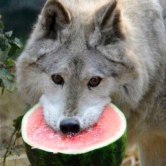 Isabella Fischer - Poshmark Profile Picture of Isabella Fischer (@fizzycola) on Poshmark