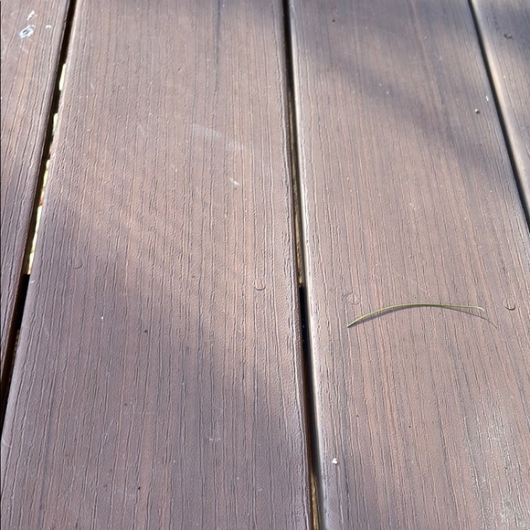 Profile Picture of Dawn Nilsson (@daisydog317) on Poshmark