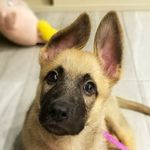 Nikita McCool - Instagram Profile Picture of Nikita McCool (@adventures.of.nikita) on Instagram