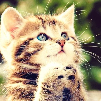 Profile Picture of William Micah Dunaway (@WilliamMicahD14) on Twitter