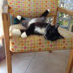 Profile Picture of Guillermo Perez (@itsmeememo) on Instagram