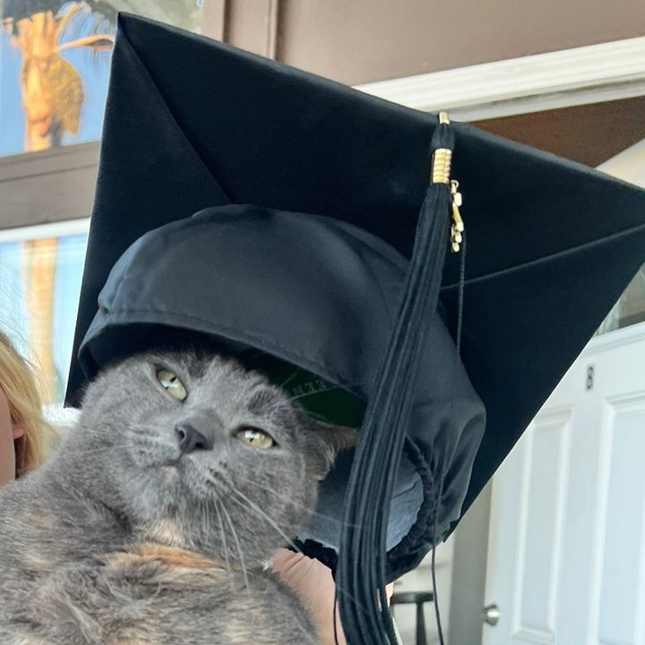 Profile Picture of Weems (@weemssss) on Tiktok