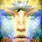 Profile Picture of Cathy Lemon (@emergingparadise) on Instagram