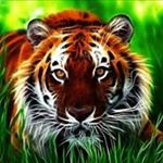 Profile Picture of Michelle Lassiter (@michelle_3211) on Instagram