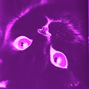 Profile Picture of Margo Black Cat (@margoblackcat9765) on Youtube