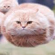 Profile Picture of Nicholas Lehman (@nicholaslehman95) on Youtube
