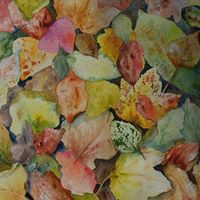 Profile Picture of Mavis Lambert (@mavis-lambert-1) on Quora