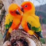 Profile Picture of ♥️ DHARINI PATEL ♥️ (@dharini_patel_22) on Instagram