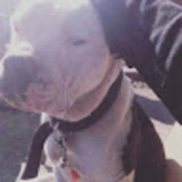 Profile Picture of Phillip Brooks (@phillb2099) on Poshmark