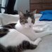 Profile Picture of Sharon Bankhead (@sharon.bankhead.50) on Facebook