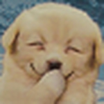 Profile Picture of Sarah & Keith (@Sarah & Keith) on Flickr