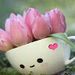 Profile Picture of Amin Mavaddat (@amin00737) on Pinterest