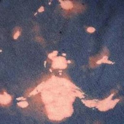 Profile Picture of Randy Strickland (@discoworship) on Twitter