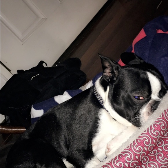 Profile Picture of Julianna Destefano (@jmd6254) on Poshmark