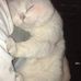 Profile Picture of Nim Nim (@Nim-Nim) on Facebook