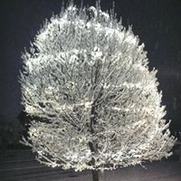 Brian Lorom - Quora Profile Picture of Brian Lorom (@brian-lorom) on Quora