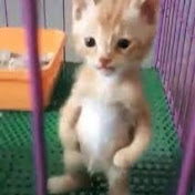 Profile Picture of Daniel Zee (@danielzee7574) on Youtube