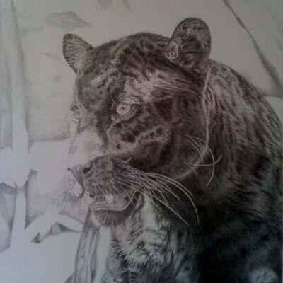 Profile Picture of Naomi Hawkins (@naomi_artist) on Twitter