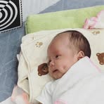 Profile Picture of Sóc Chuyền Cành (@soc.chuyen.canh) on Facebook