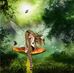 Profile Picture of Melissa Shell (@melissa.shell.96) on Facebook