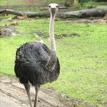 Profile Picture of Chase Clements (@asespm) on Instagram