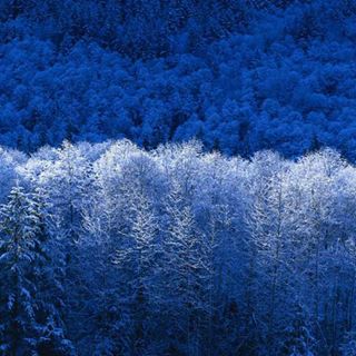 Profile Picture of Zack Drew (@zack.drew.54) on Facebook