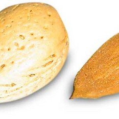 Profile Picture of Matthew Almond, M.D. (@MatthewAlmondMD) on Twitter