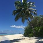 Profile Picture of Andrea Miskovic (@miskovic_andrea) on Instagram