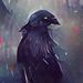 Profile Picture of Rainy Crow (@rainycrow04) on Pinterest