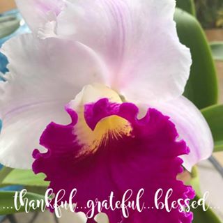 Profile Picture of Carlene Howell (@carlene.howell.1426) on Facebook