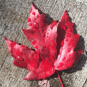 Profile Picture of Martin Owen (@martinowen8082) on Youtube