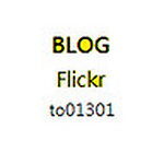 Profile Picture of Shan Lin (@to01301) on Flickr