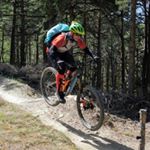 Profile Picture of Michael Flammang (@michaelflammang) on Instagram