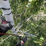 Michael Härle Gartenbau - Instagram Profile Picture of Michael Härle Gartenbau (@haerle_gartenbau) on Instagram