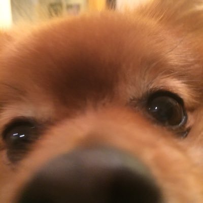 Profile Picture of Sue Guthrie (@guthriesue) on Twitter