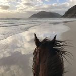 Profile Picture of SHATHA ABDULLAH..🇴🇲 (@sh.qx0) on Instagram