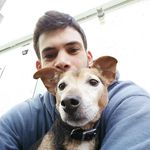 Seb Stevens - Instagram Profile Picture of Seb Stevens (@s_f_stevens) on Instagram