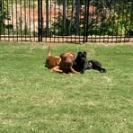 Profile Picture of Alterio Chad (@chad.alterio) on Facebook