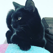 Phoebe Barker - Youtube Profile Picture of Phoebe Barker (@phoebebarker8504) on Youtube