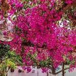 Profile Picture of Jeff Carter 854 (@leandrafothergillpzdims6t) on Instagram