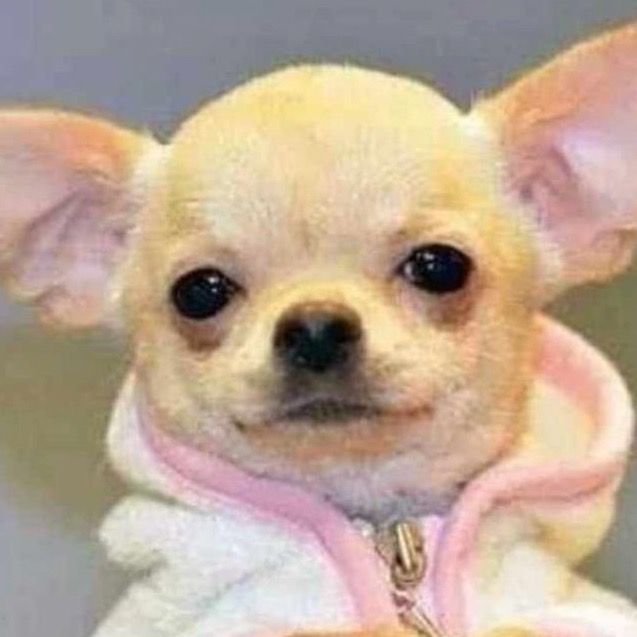 Profile Picture of josephine. (@josephine.kg) on Tiktok