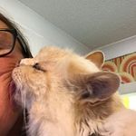 Profile Picture of Michelle Lanaway (@michellelanaway) on Instagram