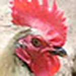 Profile Picture of Luis Manuel Martinez Leyva (@manny94) on Flickr