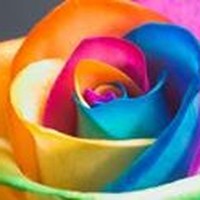 Profile Picture of Misbah Shaikh (@misbah-shaikh-30) on Quora