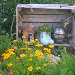 Shelley Schick Grubbs - Instagram Profile Picture of Shelley Schick Grubbs (@shelleygrubbs) on Instagram