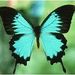 Profile Picture of Roberta M Moyer (@bobbiem56) on Pinterest
