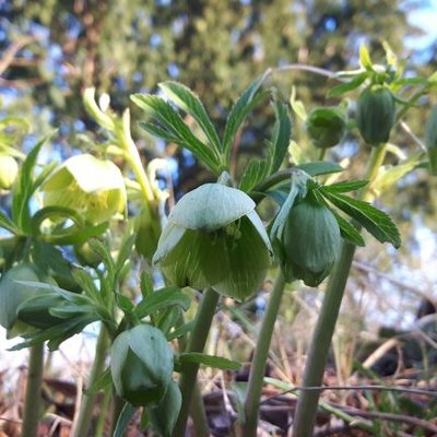 Profile Picture of Richard Bartels (@Rcjbartels1) on Twitter