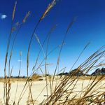 Profile Picture of Dustin (@mackenzie_dustin) on Instagram