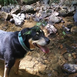 Profile Picture of Sue Boyer (@sue.boyer.545) on Facebook